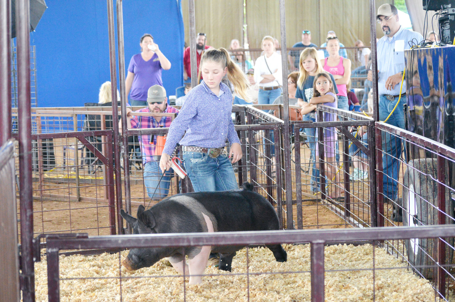 Brooke Lee took Grand Champion in the Swine division at the Wood County Junior Livestock Show. She is a member of Quitman FFA.