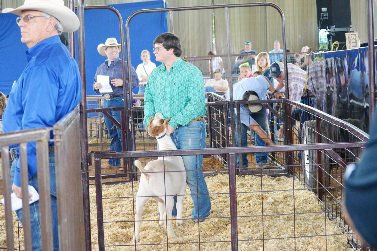 Koerth Ragsdale, Alba-Golden FFA, took home the Grand Champion award for his goat.  (Monitor photos by Larry Tucker)