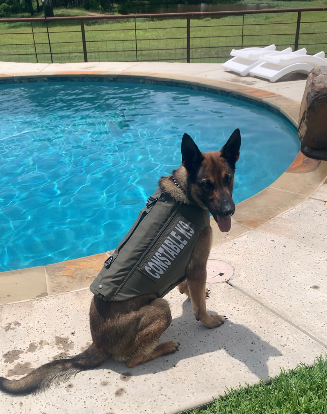 Canine Mata with new vest